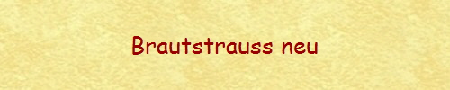 Brautstrauss neu